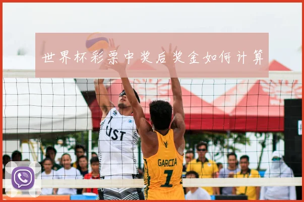 世界杯彩票中奖后奖金如何计算