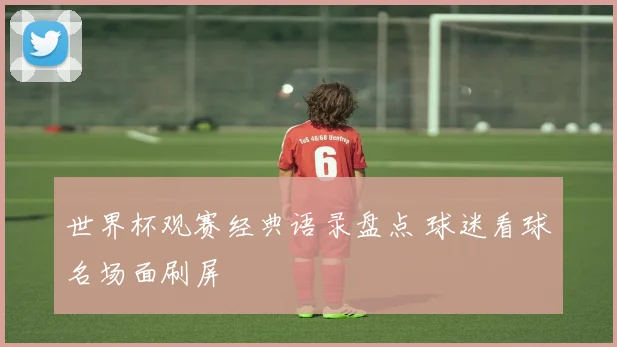 世界杯观赛经典语录盘点 球迷看球名场面刷屏