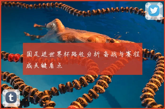 国足进世界杯路径分析 备战与赛程成关键看点