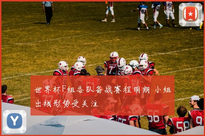 世界杯F组各队备战赛程明朗 小组出线形势受关注