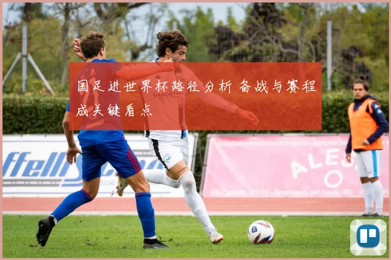 国足进世界杯路径分析 备战与赛程成关键看点