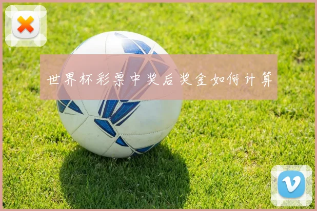 世界杯彩票中奖后奖金如何计算