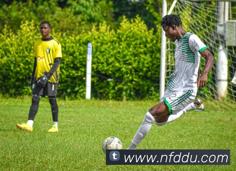 世界杯平台官网登录发展历程